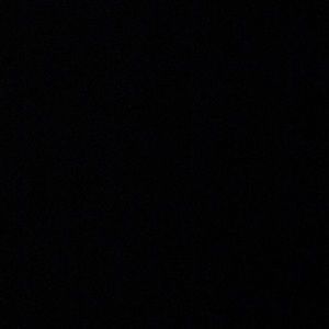 Meet your Posher, Brogan